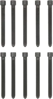 Victor Reinz Engine Cylinder Head Bolt Set - 058198385B